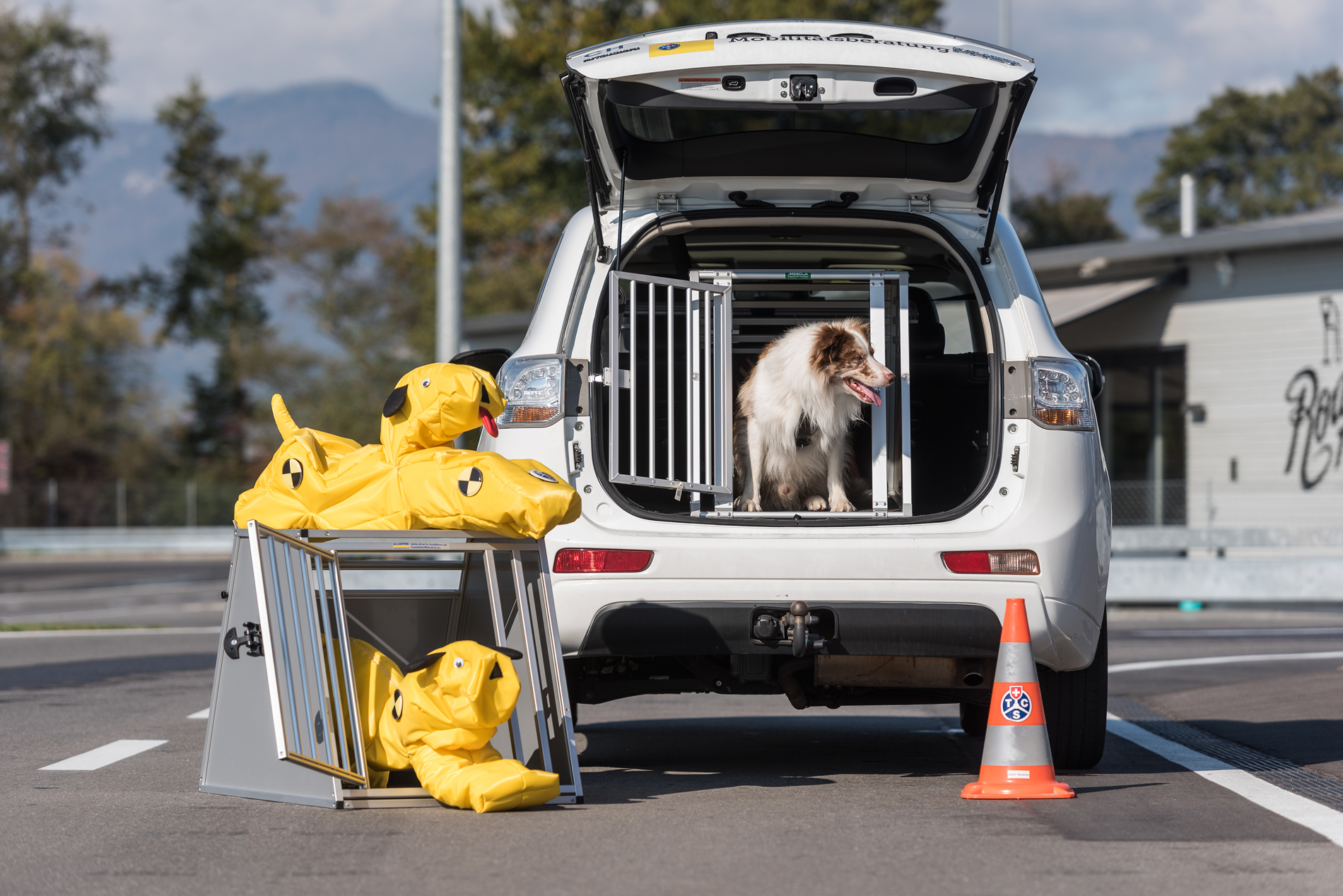bred Kan ignoreres bande Test af hundebure: Fire sikre valg til bilen | FDM