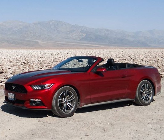 Avis_Mustang_ i ørkenen