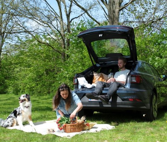 Ungt par holder picnic med hund og lejebil fra GoMore