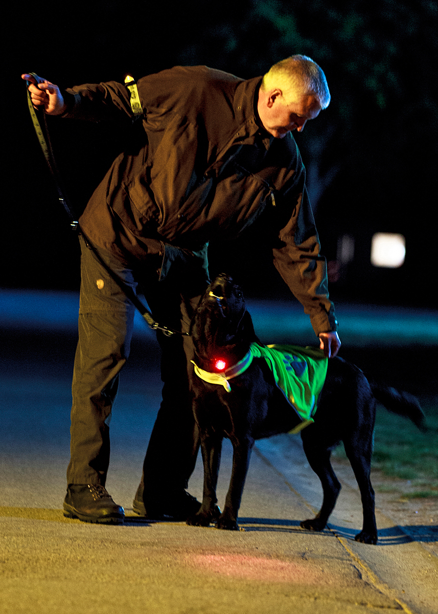 Sociale Studier Goneryl Descent Sæt lys på hunden i mørket | FDM