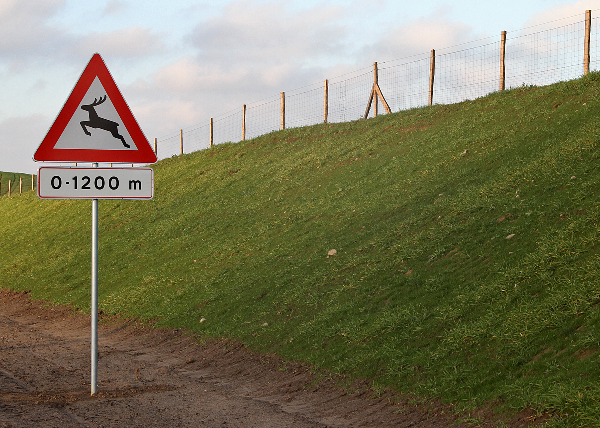 Der er opsat dyrehegn på næsten hele strækningen. Der er dog et enkelt sted på 1.200 m, hvor der er risiko for, at rådyr og kronhjorte kommer ind på vejen.