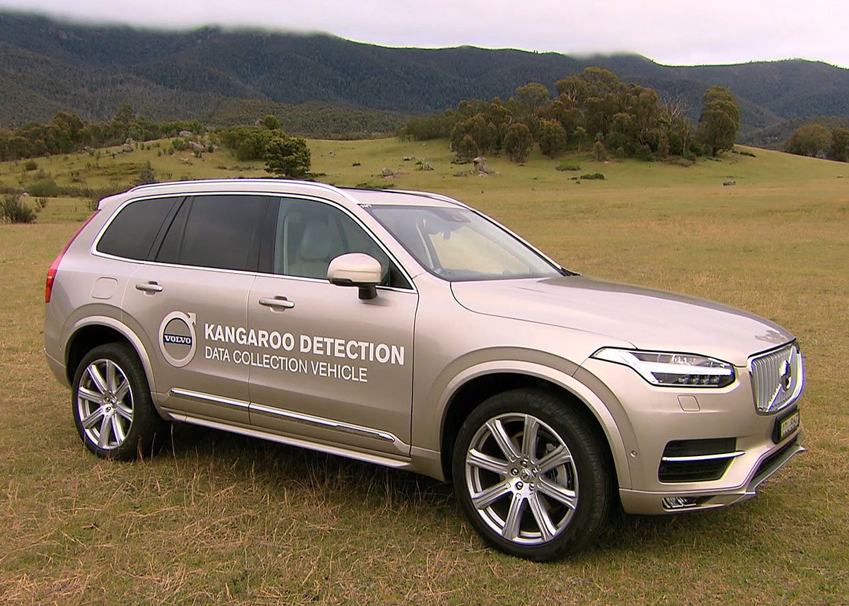 En Volvo XC 90 i gang med at indsamle data om kænguruer i Tidbinbilla Nature Reserve nær Canberra, som er et område med store kænguru-fare. Foto: Volvo