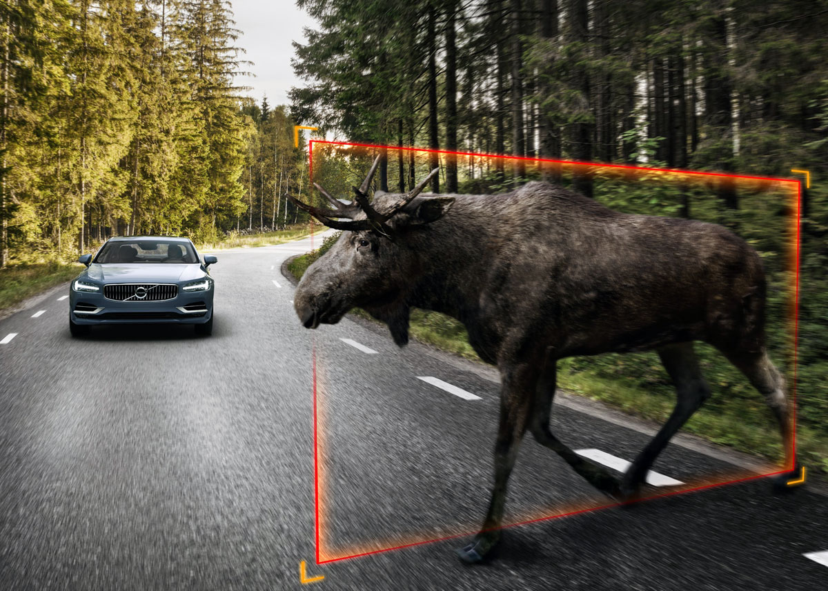 Store dyr, der går langsomt på tværs af vejen, kan nu genkendes af nye Volvo'er. Illustration: Volvo