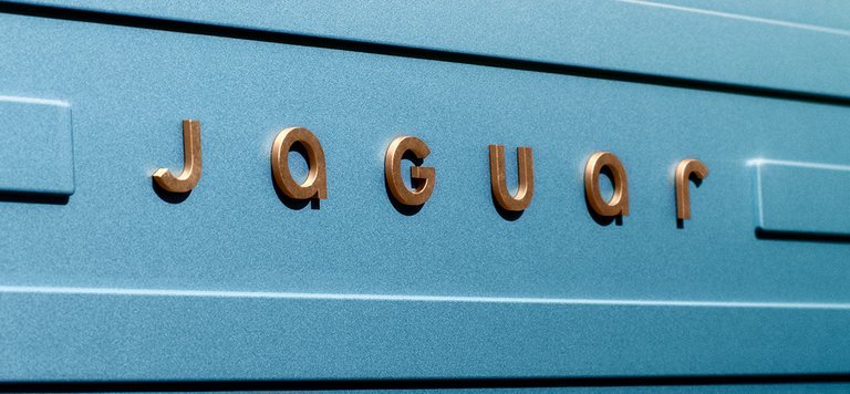 Jaguars logo.