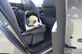 Bedøvelsesmiddel omdømme operatør 3 ting sikrer din hund i bil. Se dem her | FDM