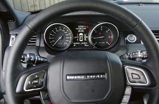 Evoque rat