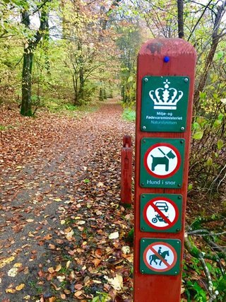 Naturstyrelsens røde pæle markerer også skovens regler.