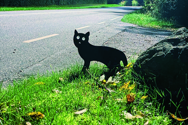 En lille kat på vejen? Nej, men silhuetten af en - med reflekterende øjne (Foto: Christian Holm)