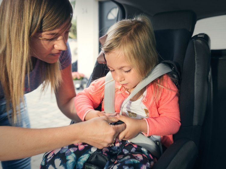 Biludlejningsselskaberne tager sig fortsat mere end godt betalt, når børnefamilier skal leje en autostol på ferien