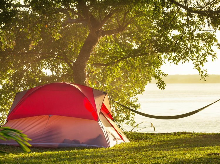Et telt og en hængekøje i en skov. En sø kan ses i baggrunden.
