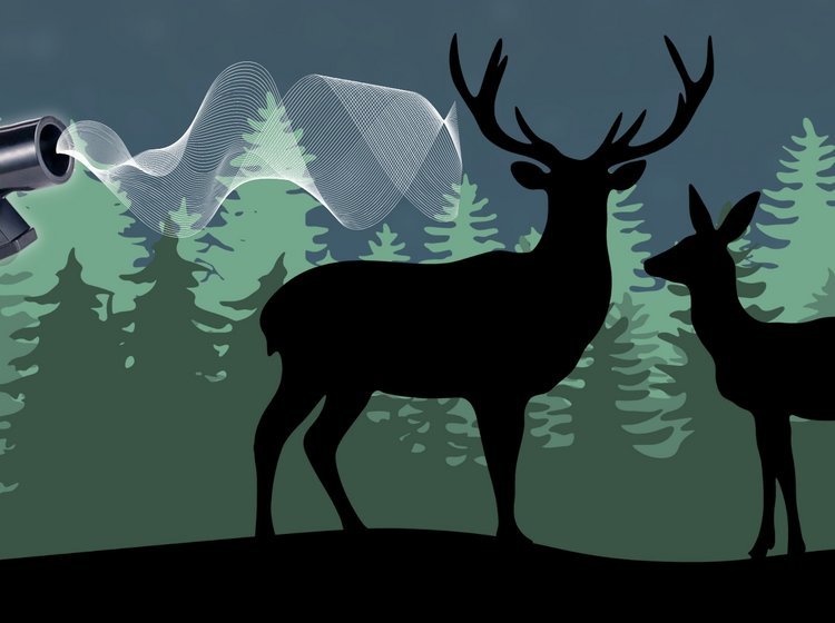 Illustration med rådyr, skov og vildtfløjte