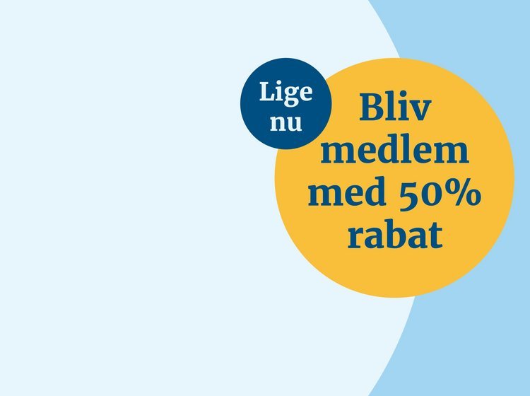 midl.