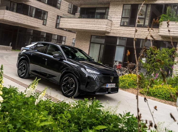 Bilkøber følte sig snydt, og måtte vente et år på at få otte års serviceaktiveret garanti på sin Peugeot