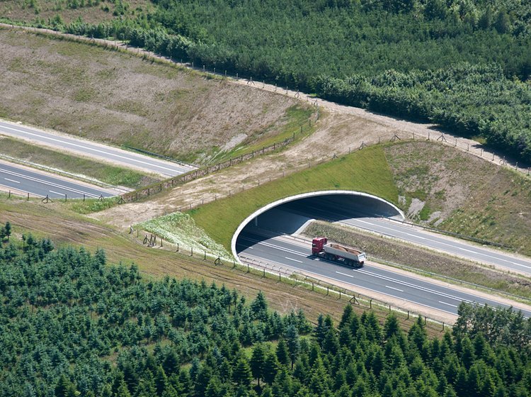 Motortrafikvejen er anlagt som en 2+1-vej - skiftevis et spor i den ene retning og to i den anden.