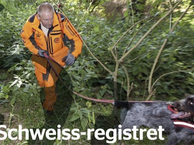 Foto: Pjece fra Naturstyrelsen
