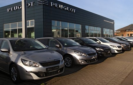 Peugeot 208 topper hitlisten.