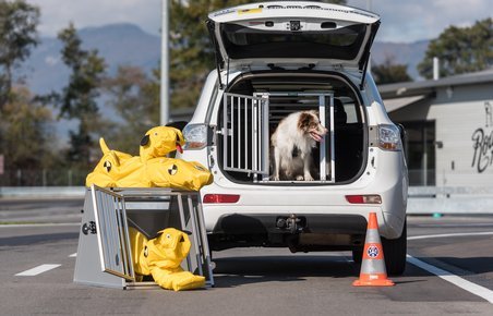 Hunde bør sidde i alubur i bilen