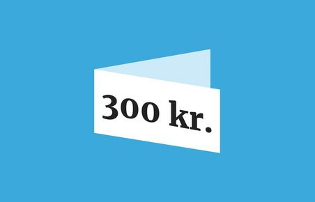 Gavekort til motorløb