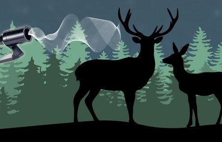 Illustration med rådyr, skov og vildtfløjte