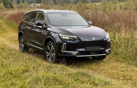 Mørk Skyworth K på græs.