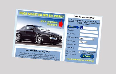 De udenlandske hjemmesider ser ud til at have specialiseret sig i at lokke 399 kr. ud af danske bilejere.