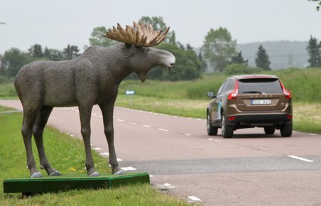 Fra 2015 kan nye Volvo'er opdage dyr og bremse for dem. 